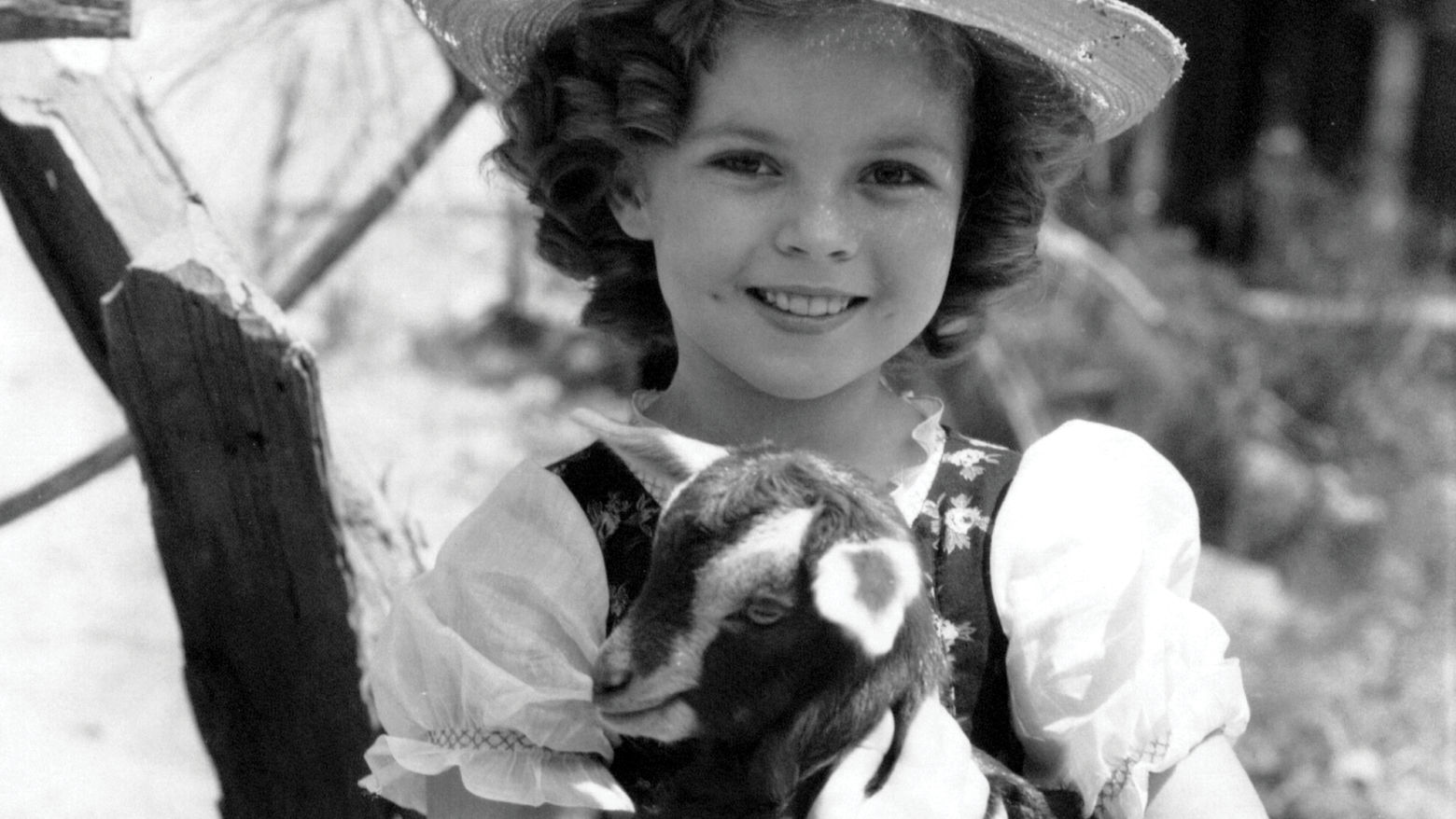 Black-and-white photo of a young Shirley Temple, standing outside wearing a hat and holding a baby goat.