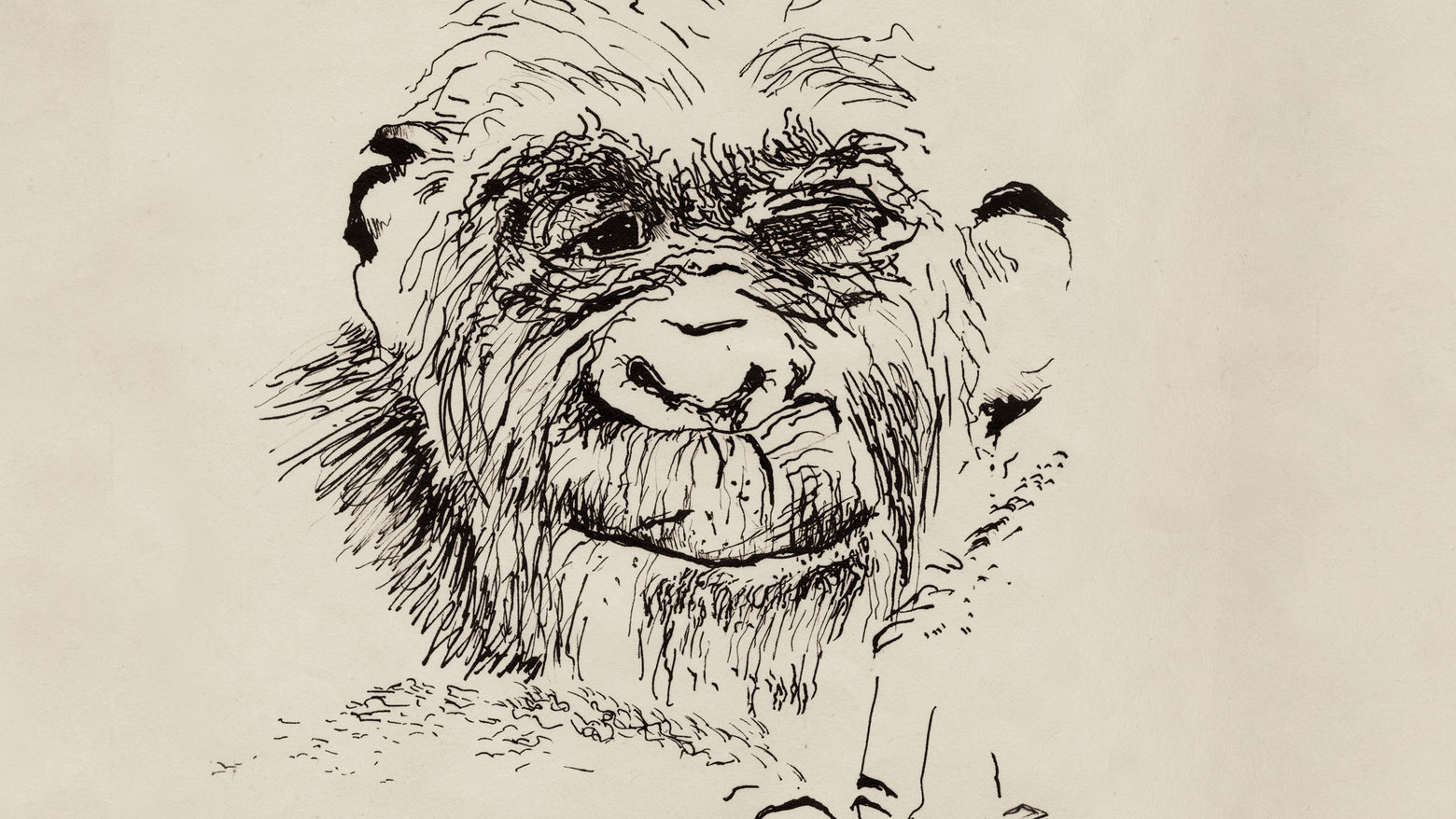 Paul McCarthy's self portrait is a line drawing of a monkey's face.