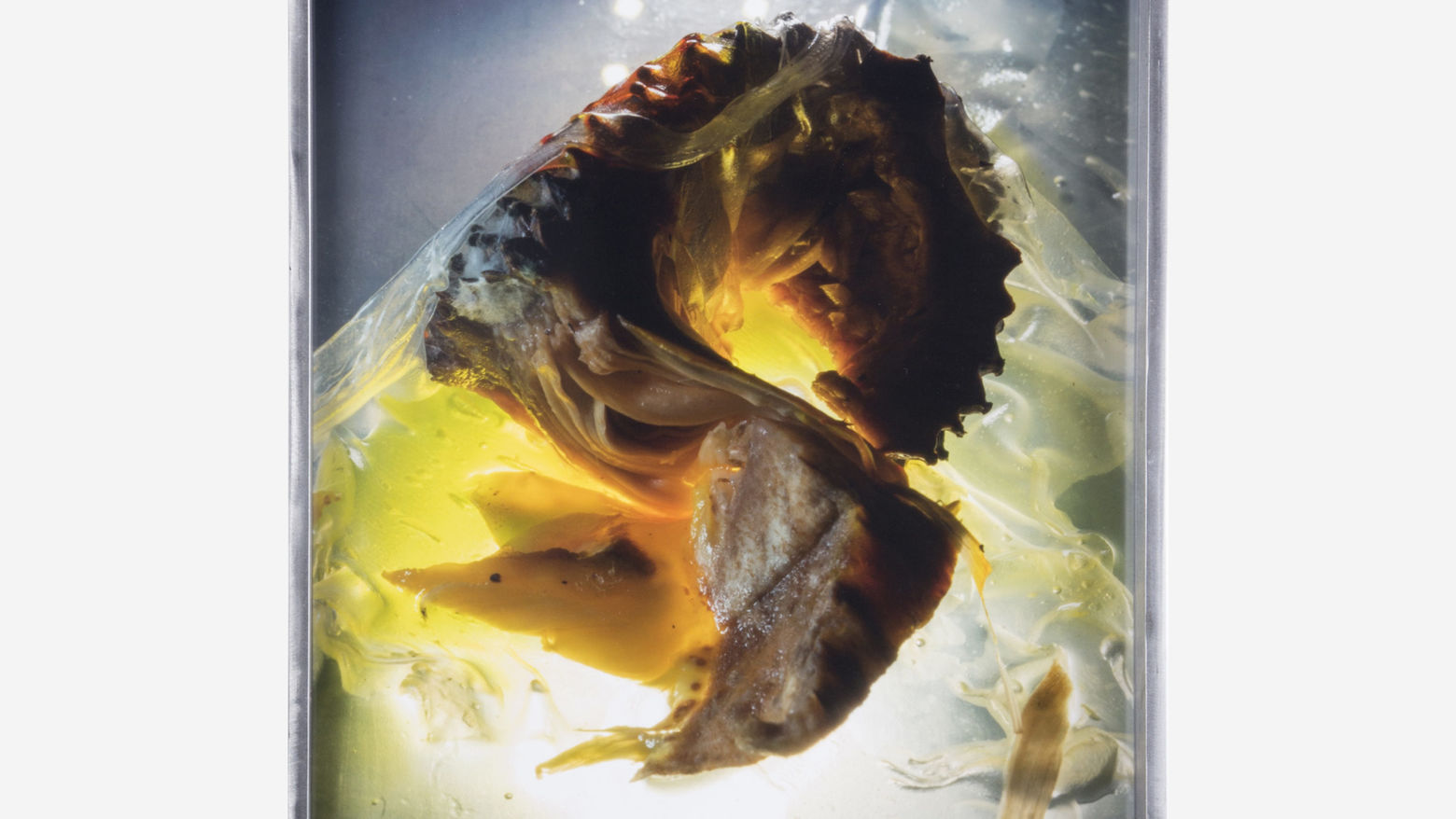 An amorphous brown form suspended in water