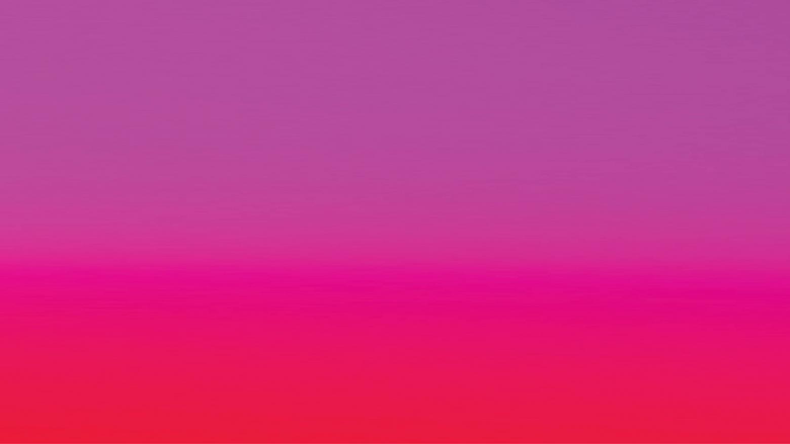 Hammergram header