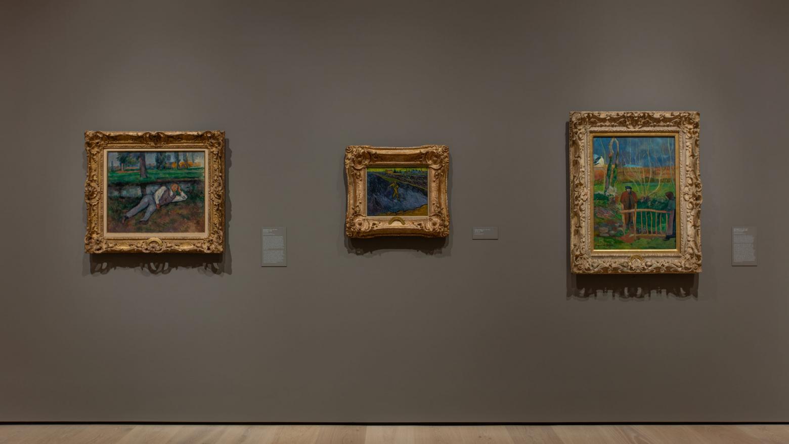 The Armand Hammer Collection. Installation at the Hammer Museum, Los Angeles; photo by Brian Forrest.