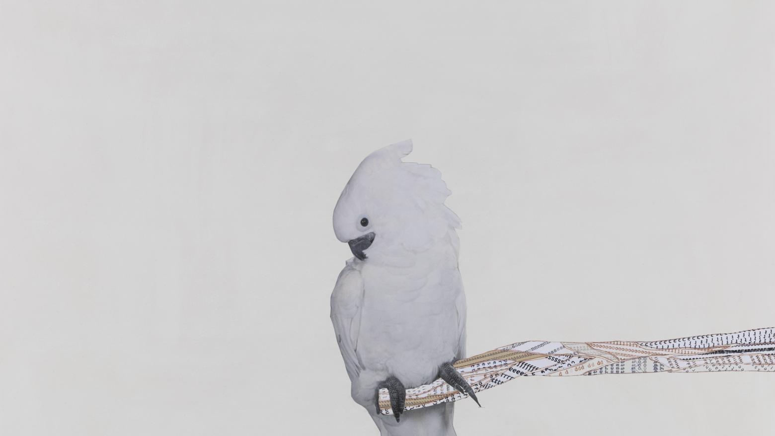Portrait of the Artist as a Full-on Bird