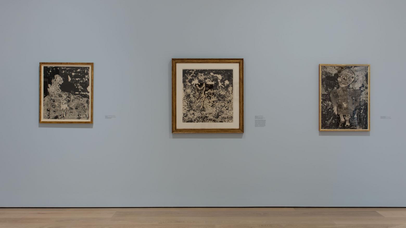 Dubuffet Drawings, 1935-1962, installation view, Hammer Museum, Los Angeles, January 29-April 30, 2017. Photo: Brian Forrest.