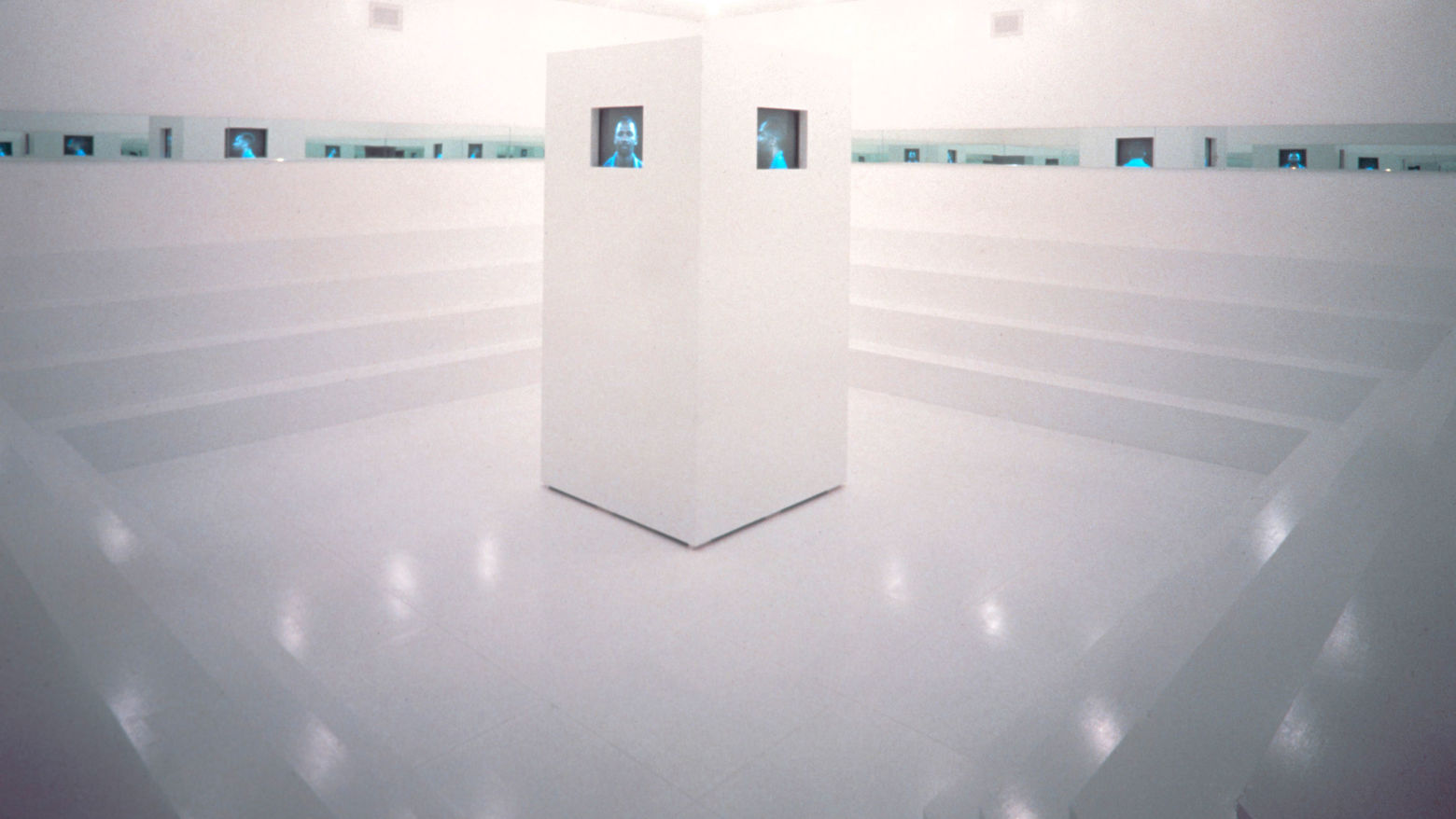 Adrian Piper. What It’s Like, What It Is #3. 1991.