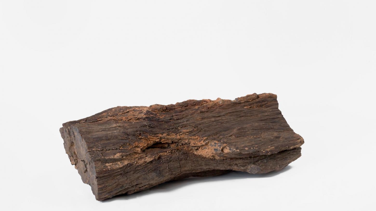 No title, n.d. Petrified wood from the studio of Carol Bove