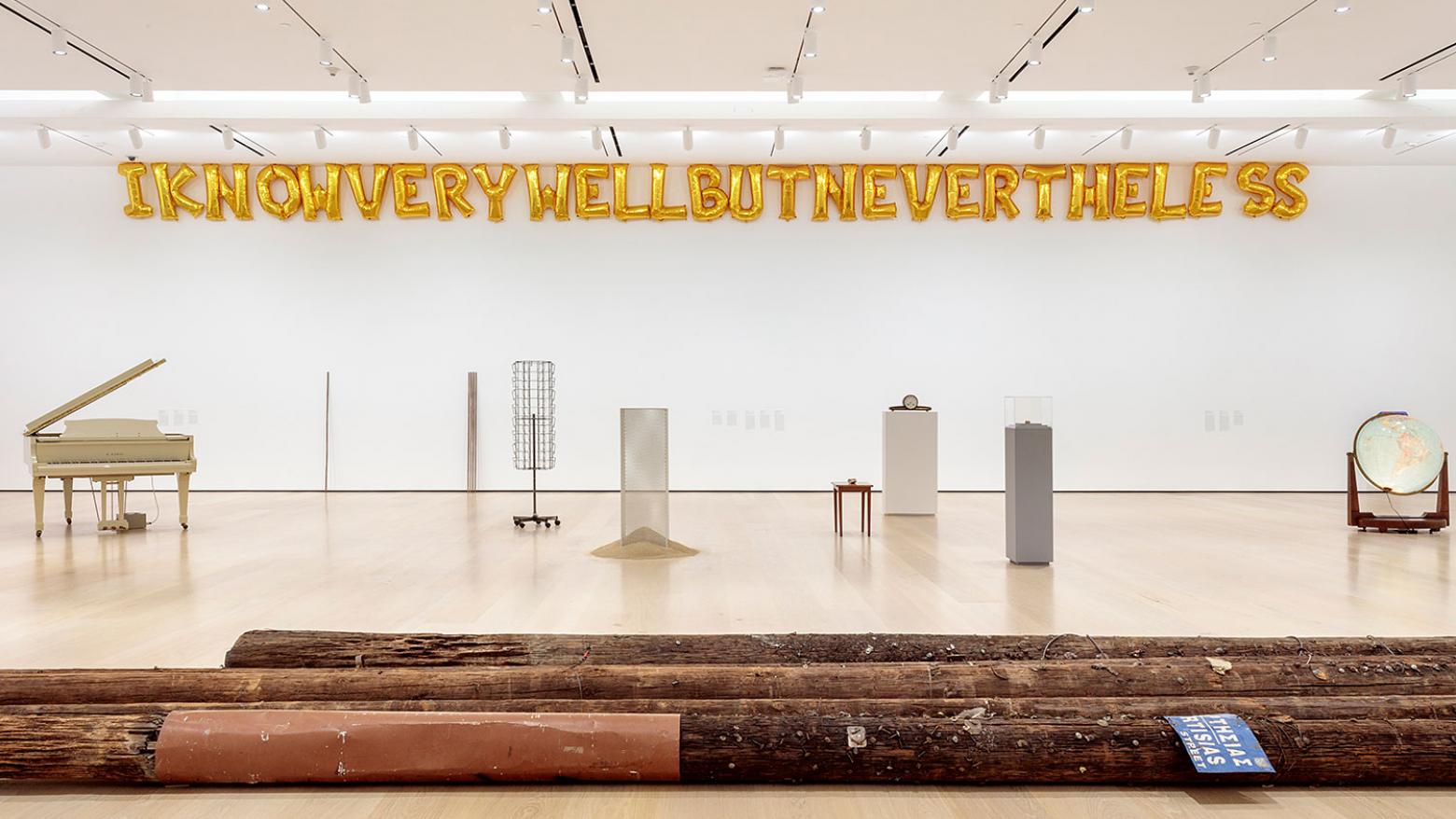 Stories of Almost Everyone, installation view, Hammer Museum, Los Angeles, January 28-May 6, 2018. Photo: Joshua White.