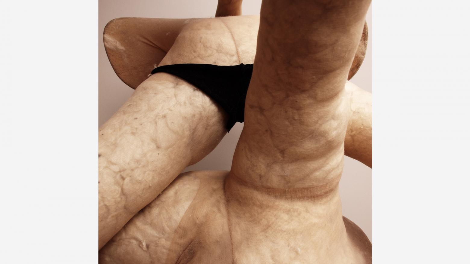 Sarah Lucas, work from the Pepsi & Cocky Series, 2019