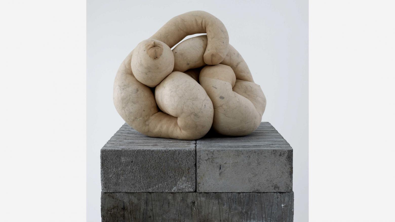 Sarah Lucas, NUD 18, 2009