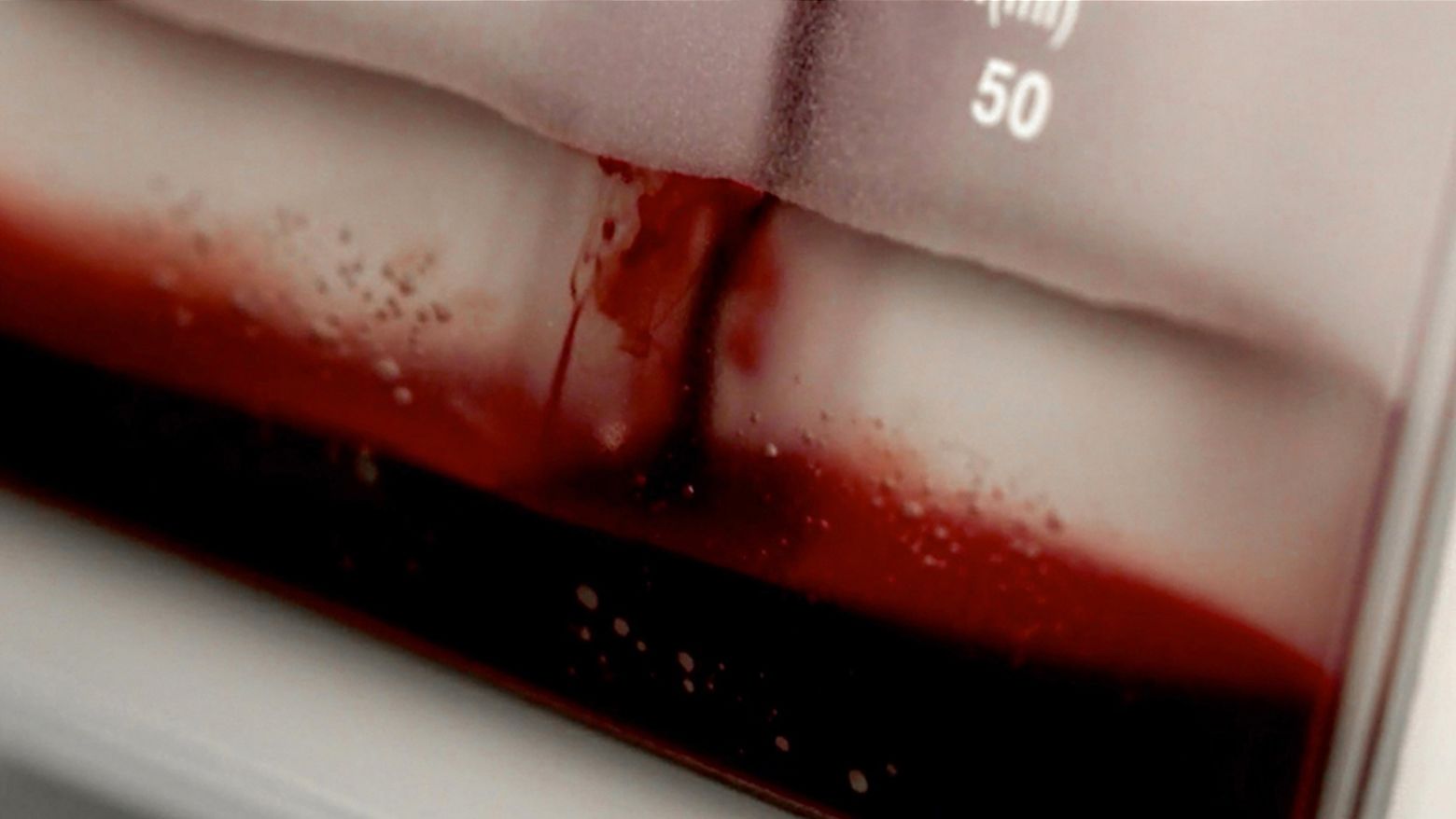 Blood Equality