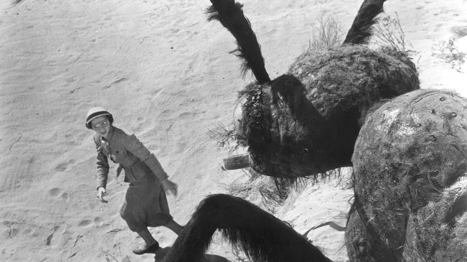 Them!, 1954