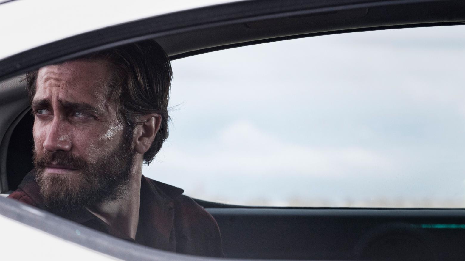 Nocturnal Animals
