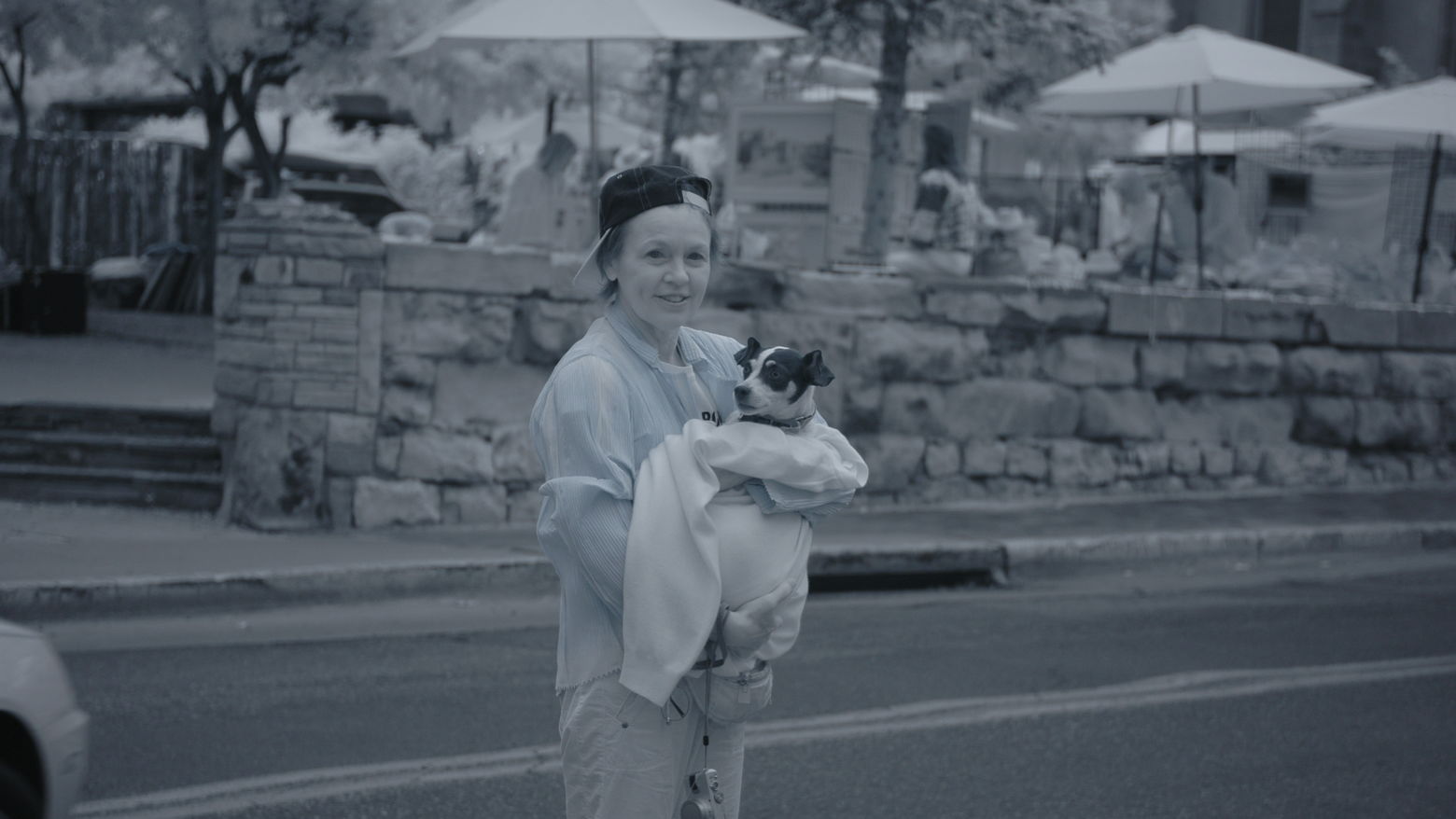 Still from "Heart of a Dog"