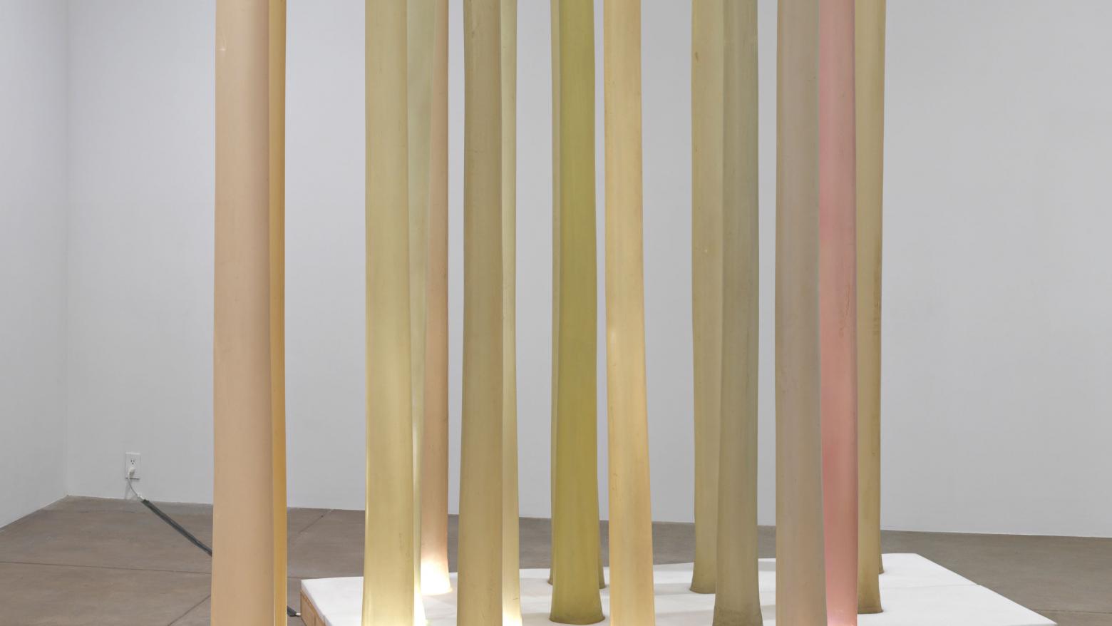 Barbara T. Smith, "Field Piece," 1968–72