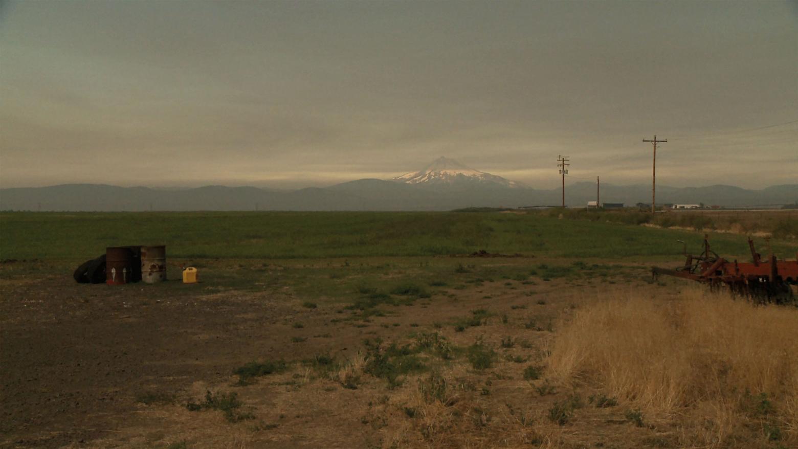 Still from L. COHEN