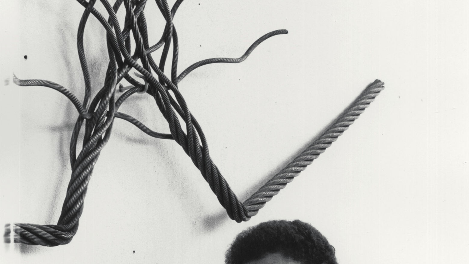 Maren Hassinger Hammer Museum