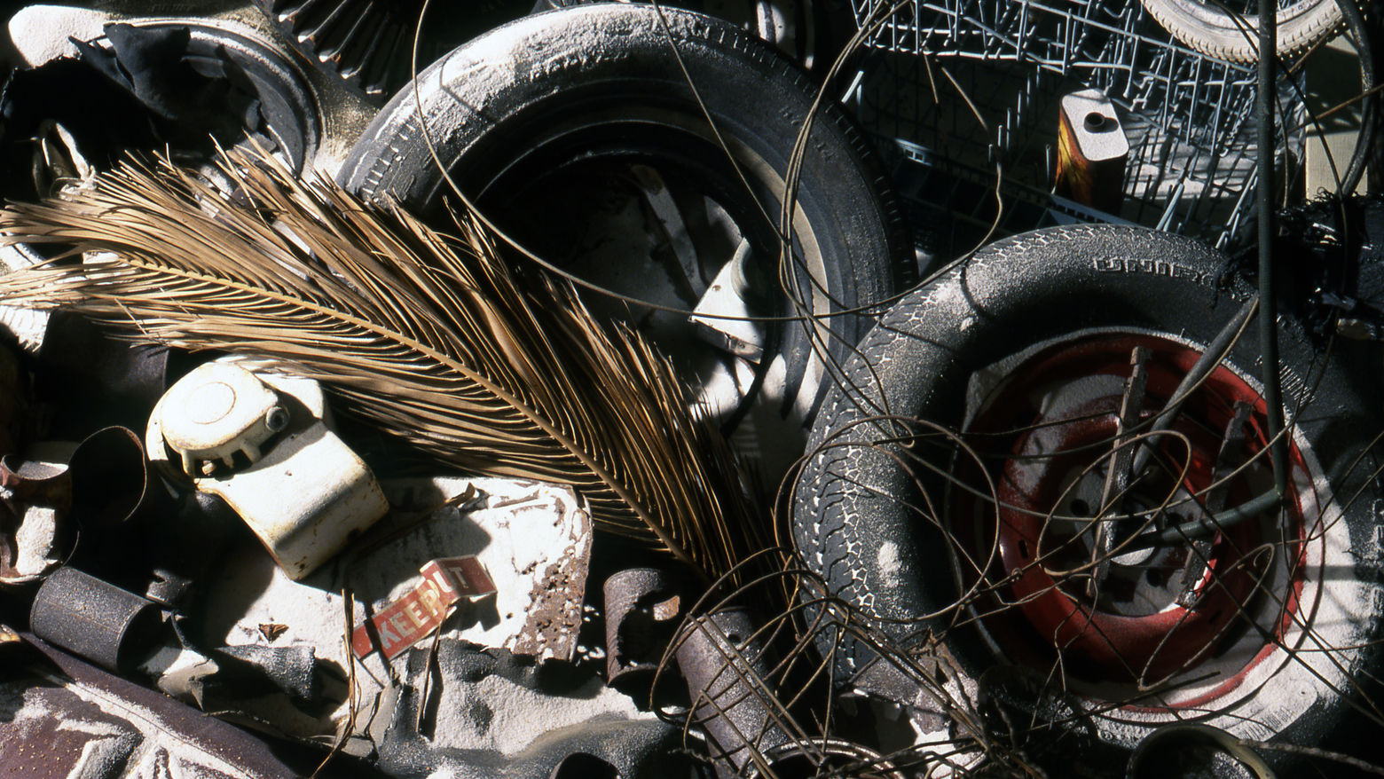 Tomoko Takahashi | Hammer Museum