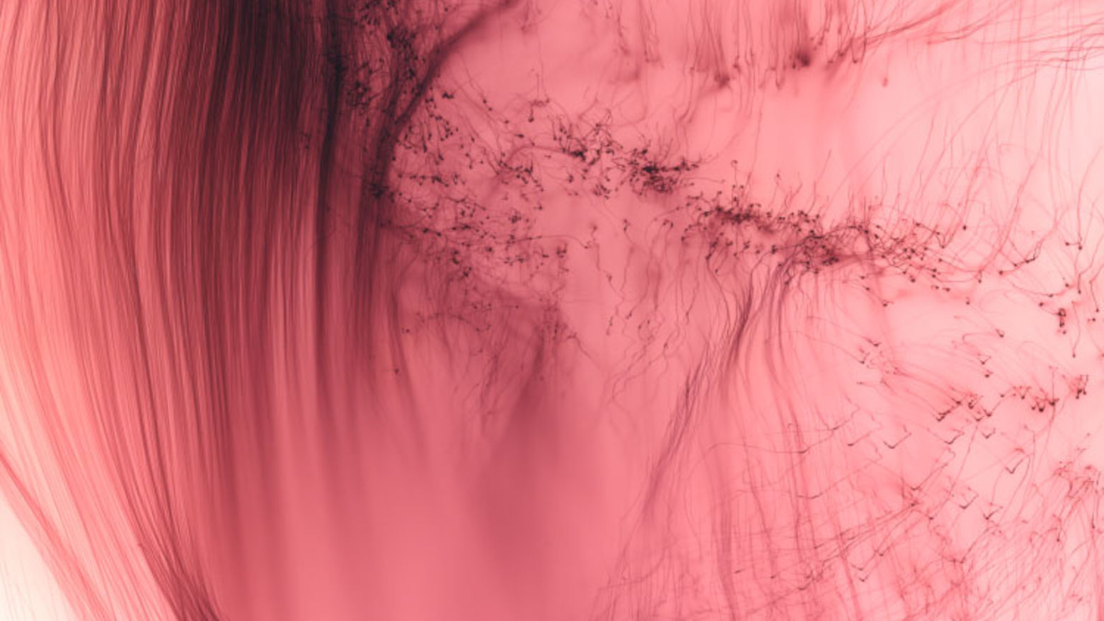 Wolfgang Tillmans | Hammer Museum