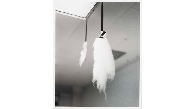 Two feathers hang from a ceiling