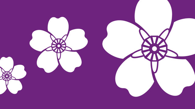 A purple rectangle with three white flowers on it