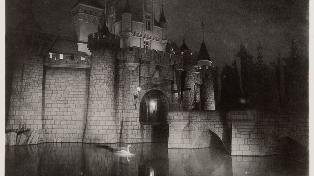 Fuzzy black and white photo of a grand castle