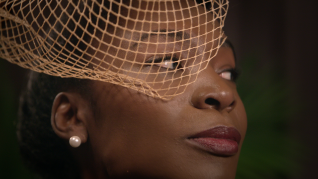 Closeup of a woman's face in a veil. 