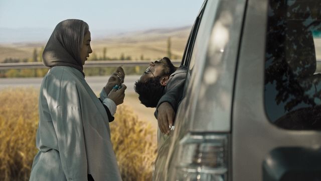 A man leans out of a car and a woman stands next to him. 