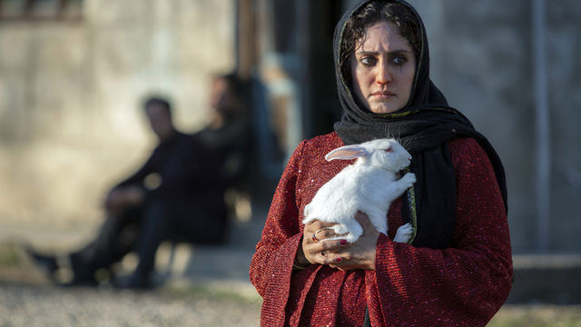 A woman holds a rabbit.