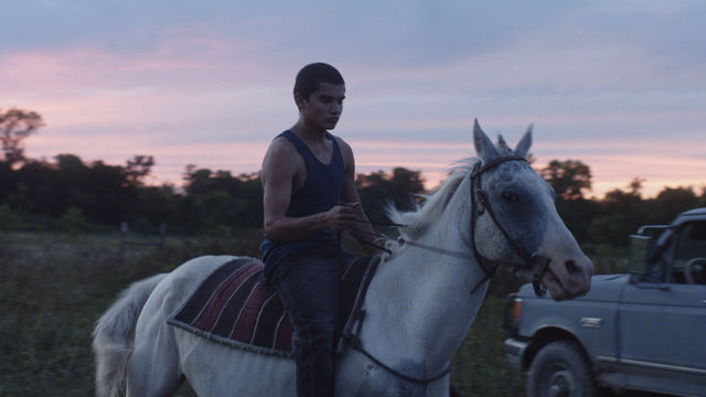 Man riding a horse during sunset.