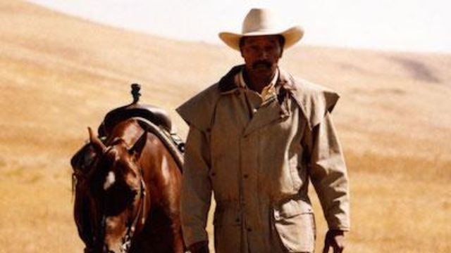 Man walks with horse on leash through a hilly plain.
