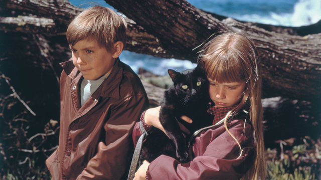 A boy and girl, both blond, the girl holding a black cat