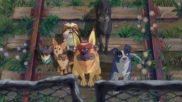 Animated still of a group of dogs