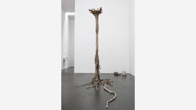 A sculpture resembling a dead tree