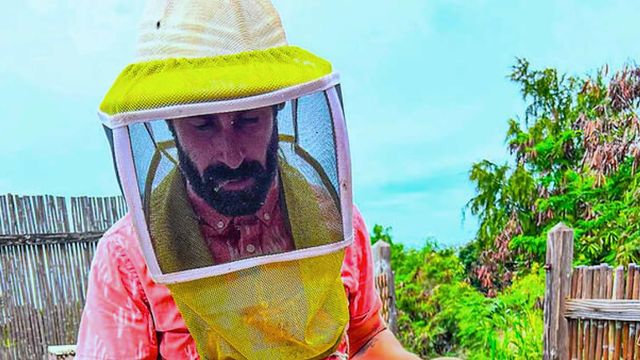 A beekeeper at work