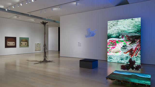 Gallery view of a multimedia installation