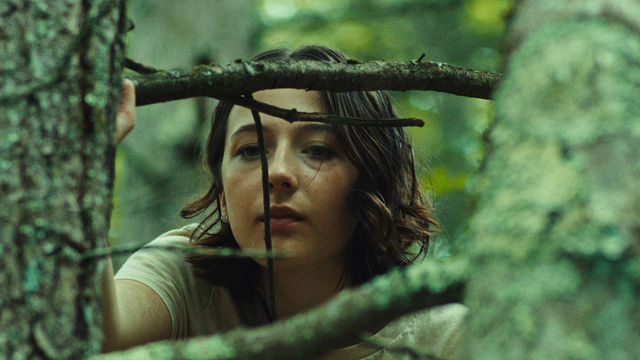 A girl gazing through a tree branch