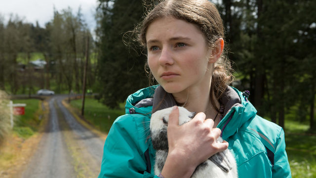 A young girl holds a bunny
