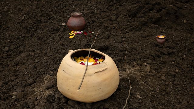 Three earthen pots, filled with flower petals with a twig laying across the top, on a bed of soil