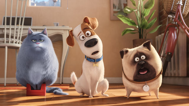 Three animated pets - a cat and two dogs - making funny faces