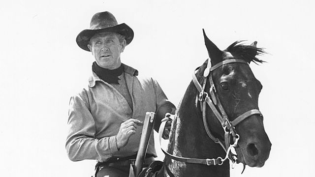 A cowboy on his horse