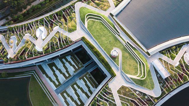 Aerial view of a green roof garden