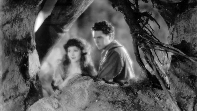 A woman and a man, viewed in soft focus through the boughs of a tree