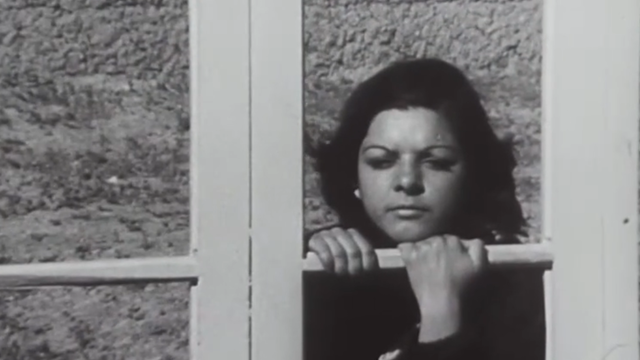 A woman looks through a window