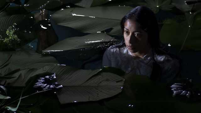 A dark-haired woman stands neck-deep in a body of water, surrounded by large plant fronds