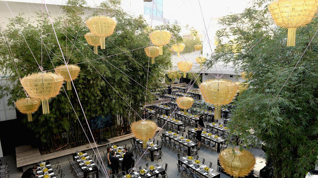 Hammer Gala