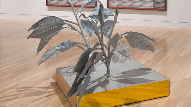 Silver Plant Platform, by Tom Burr, 1997