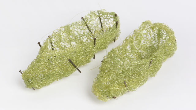 Marisa Merz, Untitled, 1968 or ca. 1975.