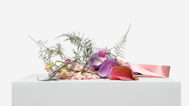 Kapwani Kiwanga, Flowers for Africa: Nigeria, 2014