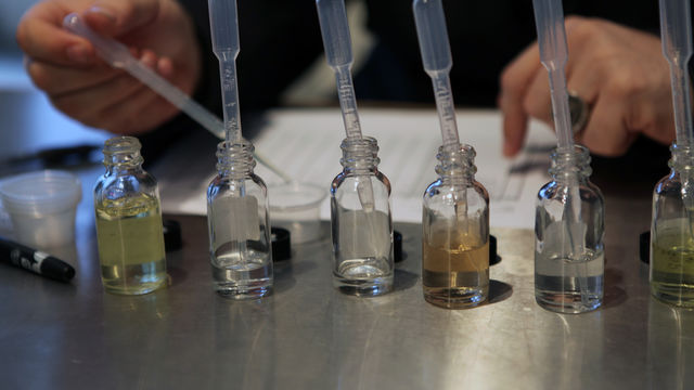 Experimental Perfumery with The Institute for Art and Olfaction