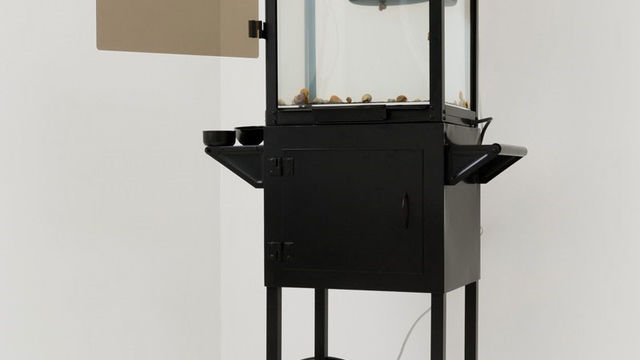 Max Hooper Schneider
Aral Spring Trolley, 2014