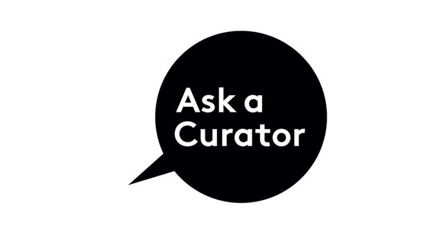 Ask A Curator Day